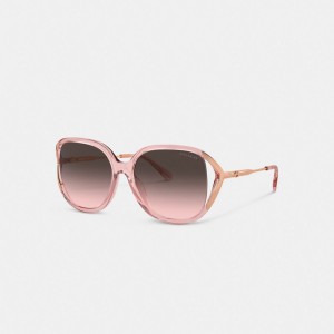 Coach Bandit Oversized Square Sunglasses Rosas Rosas Doradas | COH866329
