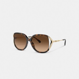 Coach Bandit Oversized Square Sunglasses Doradas | COH866384