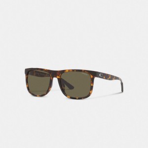 Coach Beveled Signature Flat Top Square Sunglasses Marrones | COH867062