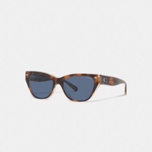 Coach Beveled Signature Square Cat Eye Sunglasses Marrones | COH866372