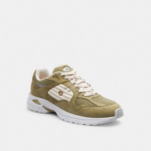 Coach C301 Sneaker Moutarde | COH866782