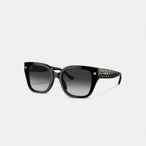 Coach Charms Oversized Square Sunglasses Negras | COH866351