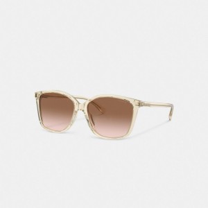 Coach Embedded Wire Square Sunglasses Marrones Rosas | COH866357