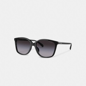 Coach Embedded Wire Square Sunglasses Negras | COH866390