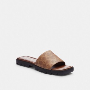 Coach Florence Sandal In Signature Canvas Kaki Verde Menta | COH865887
