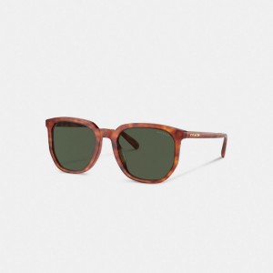 Coach Geometric Square Sunglasses Verde | COH867059