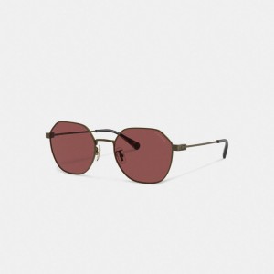 Coach Hinged Geometric Round Sunglasses Doradas Burdeos | COH867066