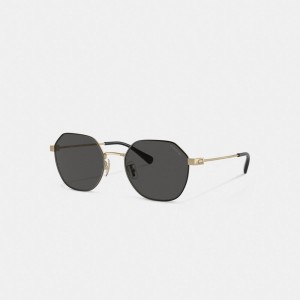 Coach Hinged Geometric Round Sunglasses Doradas Negras | COH867080