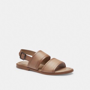 Coach Julian Two Strap Sandal Gris Marrones | COH866846