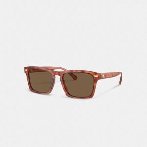 Coach Keyhole Square Sunglasses Marrones | COH867072