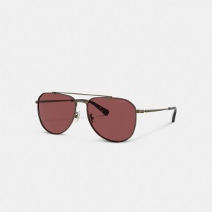 Coach Metal Windsor Pilot Sunglasses Burdeos | COH867065