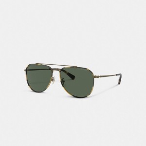 Coach Metal Windsor Pilot Sunglasses Doradas | COH867078