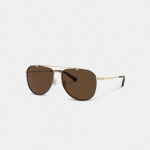 Coach Metal Windsor Pilot Sunglasses Marrones Oscuro | COH867057
