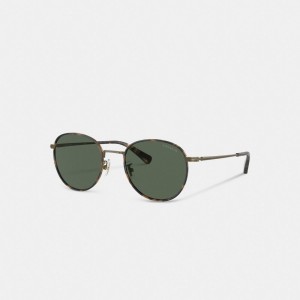 Coach Metal Windsor Round Sunglasses Doradas | COH867061