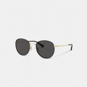 Coach Metal Windsor Round Sunglasses Negras Doradas Claro | COH867055