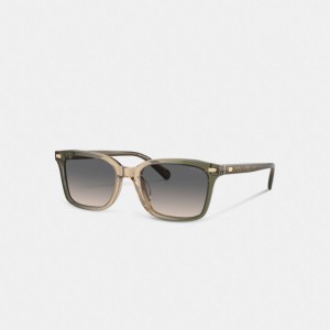 Coach Narrow Square Sunglasses Verde Marrones | COH867083