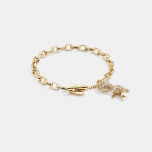 Coach Pavé Rexy Signature Chain Bracelet Doradas | COH866148