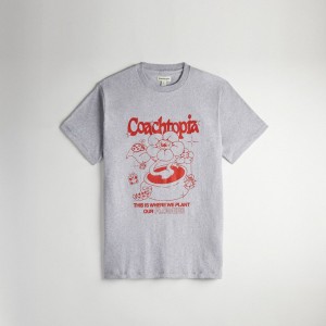 Coach Relaxed T Shirt: Flower Pot Gris Multicolor | COH865969