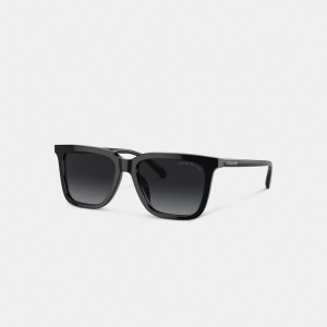 Coach Retro Square Sunglasses Negras | COH867088