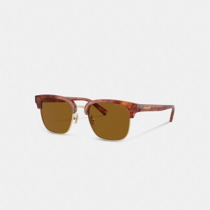 Coach Retro Sunglasses Marrones | COH867079
