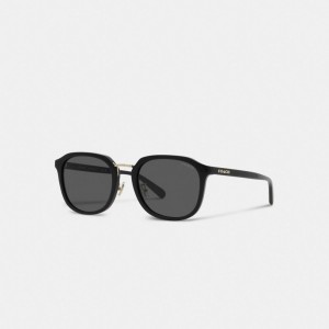 Coach Rounded Geometric Sunglasses Negras | COH867085