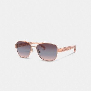 Coach Signature Ombré Narrow Pilot Sunglasses Moradas | COH866378