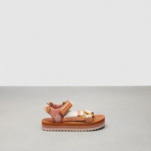 Coach Strappy Sandal Multicolor | COH865858