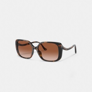 Coach Swoop Temple Rectangle Sunglasses Marrones | COH866325